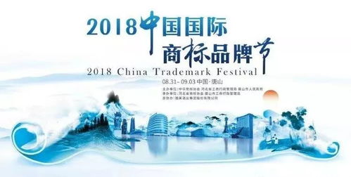 中国卫生巾品牌的崛起与创新之路