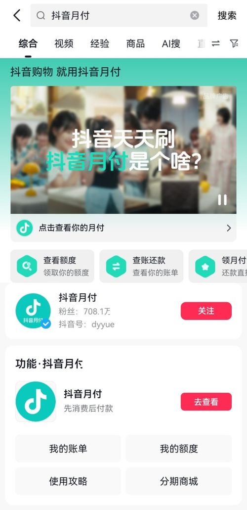 抖音月付套出价格解析