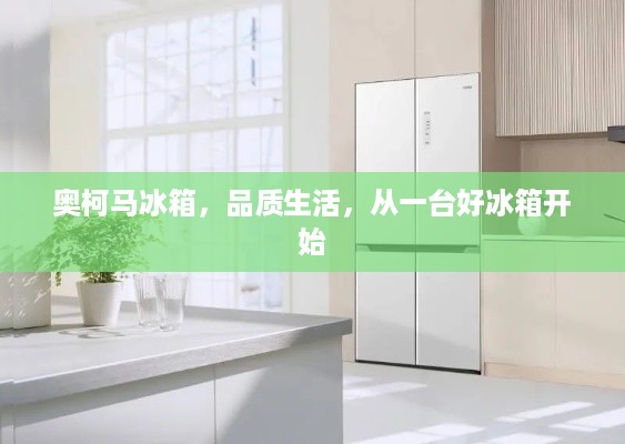 奥柯马冰箱，品质生活，从一台好冰箱开始