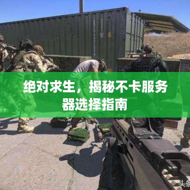 绝对求生，揭秘不卡服务器选择指南