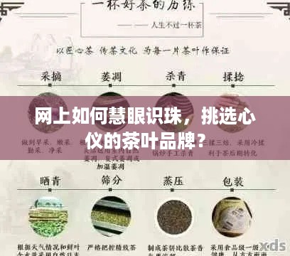 网上如何慧眼识珠，挑选心仪的茶叶品牌？