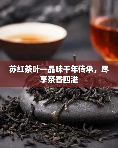 苏红茶叶—品味千年传承，尽享茶香四溢