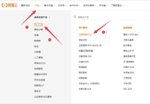 阿里云服务器选购指南