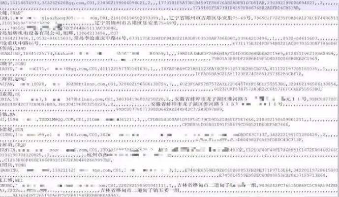 网上查开房记录网址，解锁隐私与安全的双重保障