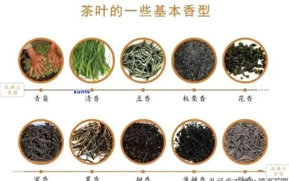 东北茶叶品牌测评，品味东北茶香，探寻地域特色