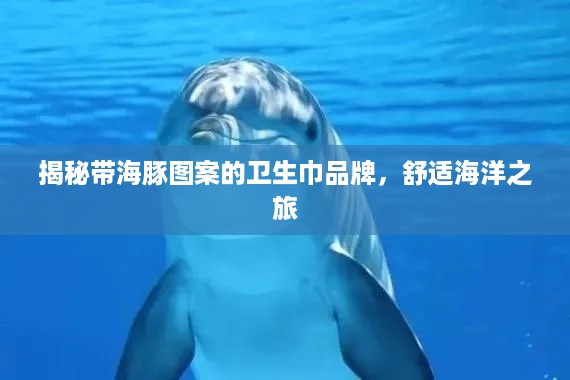 揭秘带海豚图案的卫生巾品牌，舒适海洋之旅