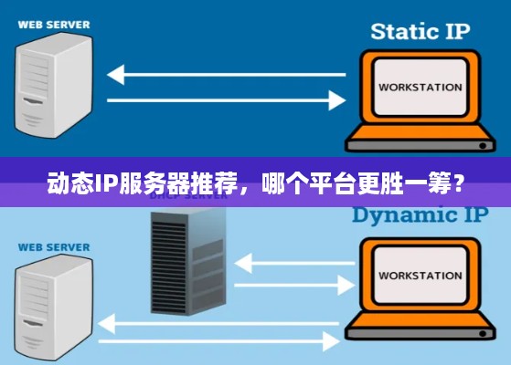 动态IP服务器推荐，哪个平台更胜一筹？