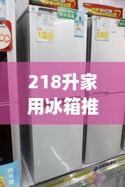 218升家用冰箱推荐品牌，性价比与品质并存的选择