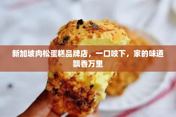 新加坡肉松蛋糕品牌店，一口咬下，家的味道飘香万里