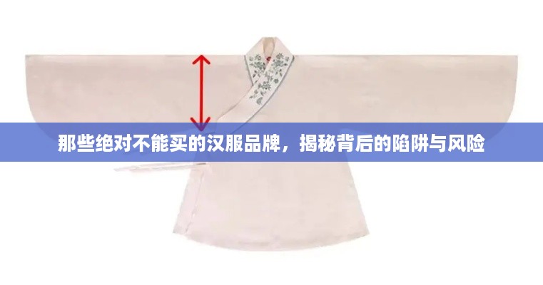 那些绝对不能买的汉服品牌，揭秘背后的陷阱与风险