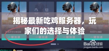 揭秘最新吃鸡服务器，玩家们的选择与体验
