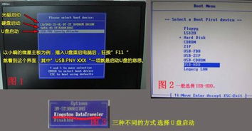 品牌电脑预装系统全解析，优势、种类及注意事项
