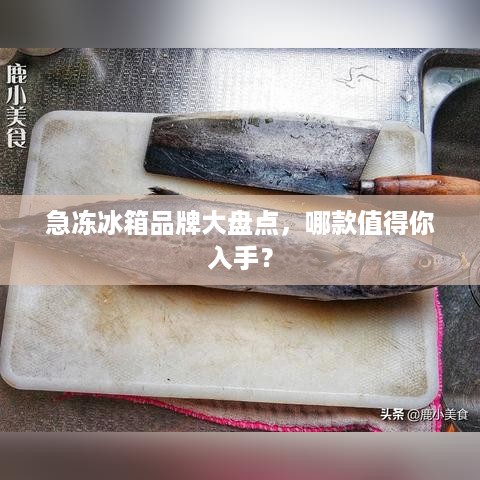 急冻冰箱品牌大盘点，哪款值得你入手？
