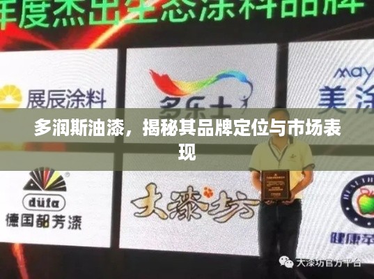 多润斯油漆，揭秘其品牌定位与市场表现
