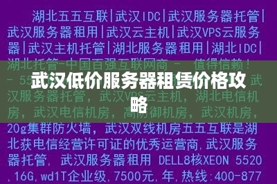 武汉低价服务器租赁价格攻略