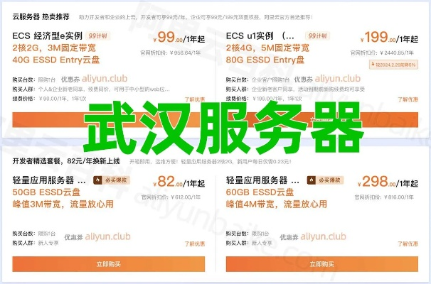 武汉低价服务器租赁价格攻略
