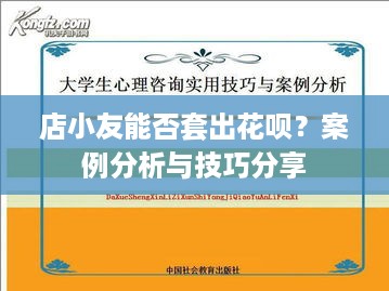 店小友能否套出花呗？案例分析与技巧分享