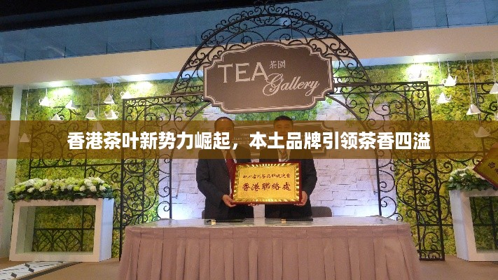 香港茶叶新势力崛起，本土品牌引领茶香四溢
