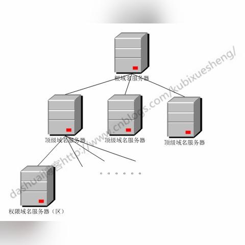 DNS服务器国家排名解析，哪个国家DNS最佳？
