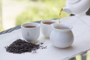 福州茶叶品牌大盘点，哪里买？哪家好？