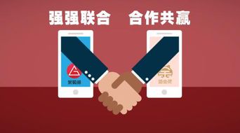 揭秘德众金融白条套出来，案例分析与技巧分享