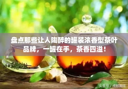 盘点那些让人陶醉的罐装浓香型茶叶品牌，一罐在手，茶香四溢！