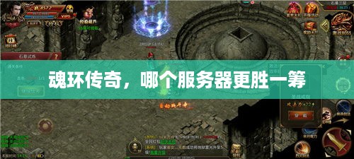 魂环传奇，哪个服务器更胜一筹