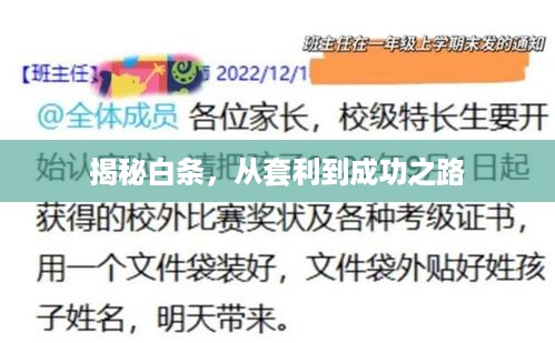 揭秘白条，从套利到成功之路