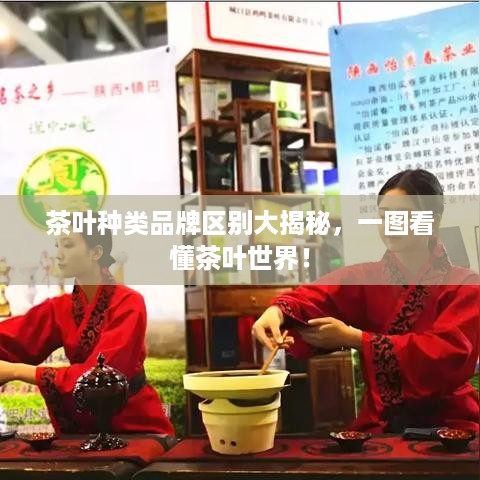 茶叶种类品牌区别大揭秘，一图看懂茶叶世界！