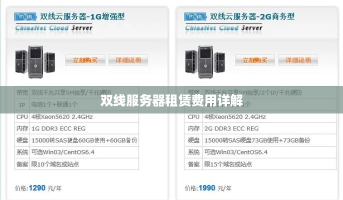 双线服务器租赁费用详解
