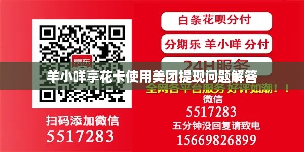 羊小咩享花卡使用美团提现问题解答