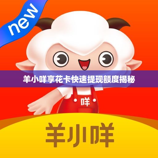 羊小咩享花卡快速提现额度揭秘