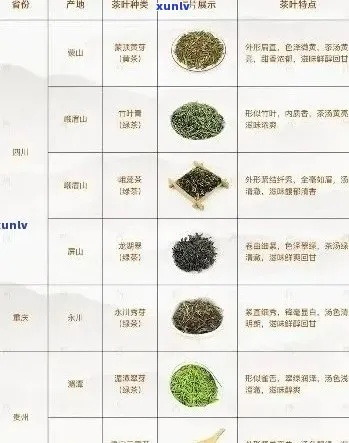亚马逊茶叶类目热门品牌盘点，品味东方，尽在这一览！