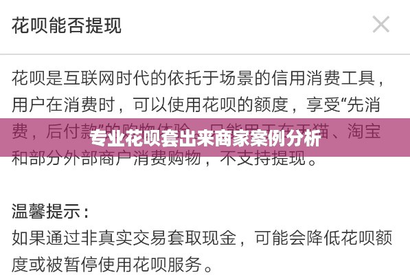 专业花呗套出来商家案例分析