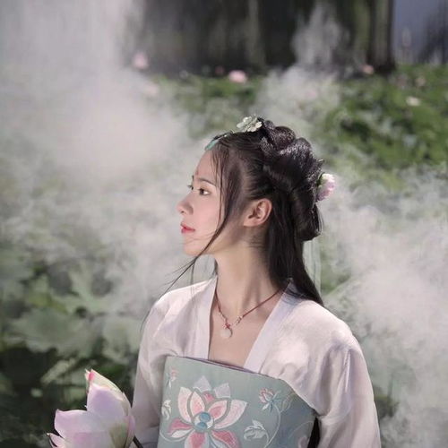 揭秘汉服品牌百强网站排名，谁主沉浮，谁领风骚？