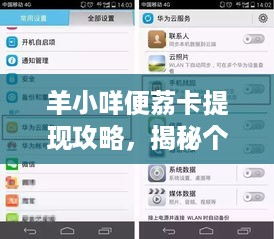 羊小咩便荔卡提现攻略，揭秘个人操作指南