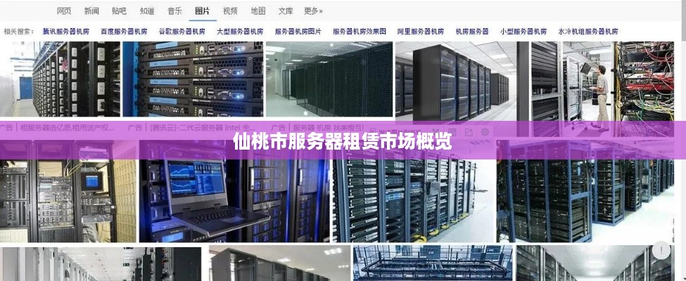 仙桃市服务器租赁市场概览