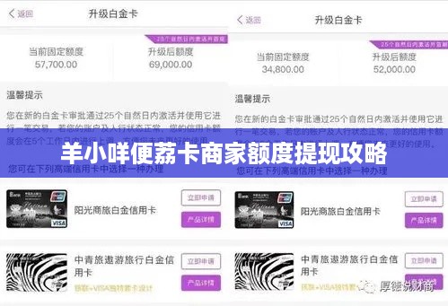 羊小咩便荔卡商家额度提现攻略