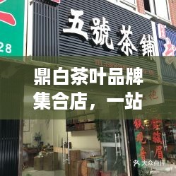 鼎白茶叶品牌集合店，一站式茶叶购物体验，品味生活新境界