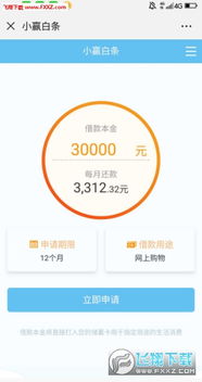 IPOS白条取现，便捷消费新体验