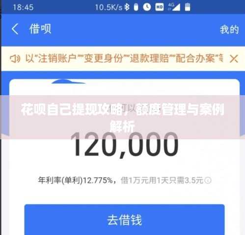 花呗自己提现攻略，额度管理与案例解析