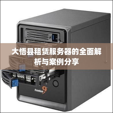 大悟县租赁服务器的全面解析与案例分享
