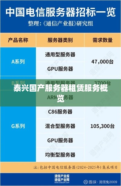 泰兴国产服务器租赁服务概览