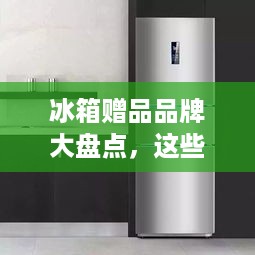 冰箱赠品品牌大盘点，这些品牌赠品实用又贴心！