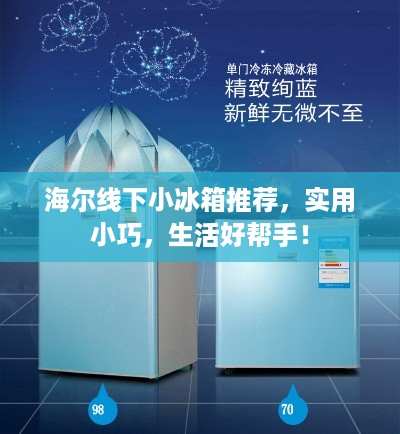 海尔线下小冰箱推荐，实用小巧，生活好帮手！