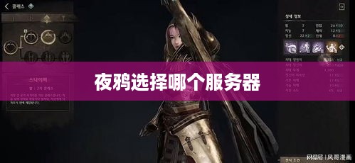 夜鸦选择哪个服务器
