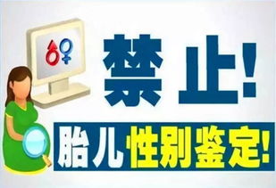分期乐禁止套取策略与实践