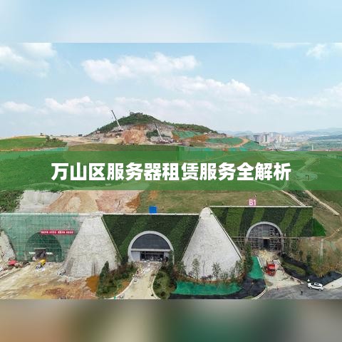万山区服务器租赁服务全解析
