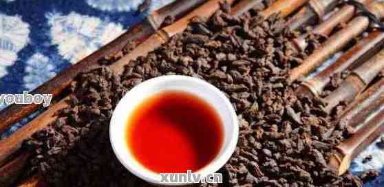 泽库普洱—探寻藏地茶香，品味千年传承