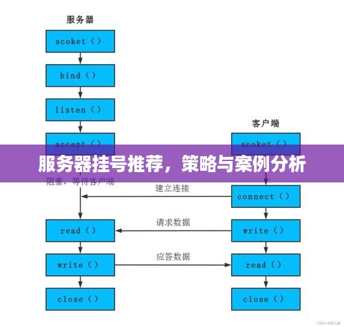 服务器挂号推荐，策略与案例分析